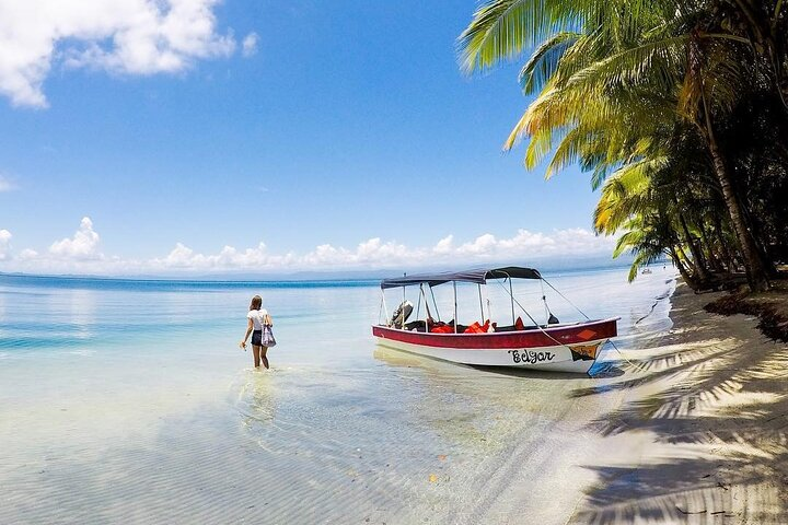 Private Transport Tamarindo to Arenal - Premium Service VIP - Photo 1 of 6